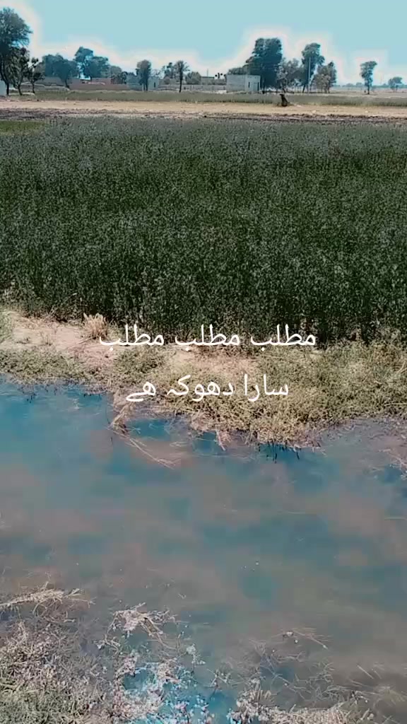 @حجانا 🥷🤫king