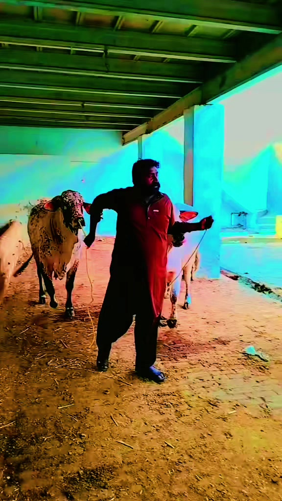 @Tahir_ch00