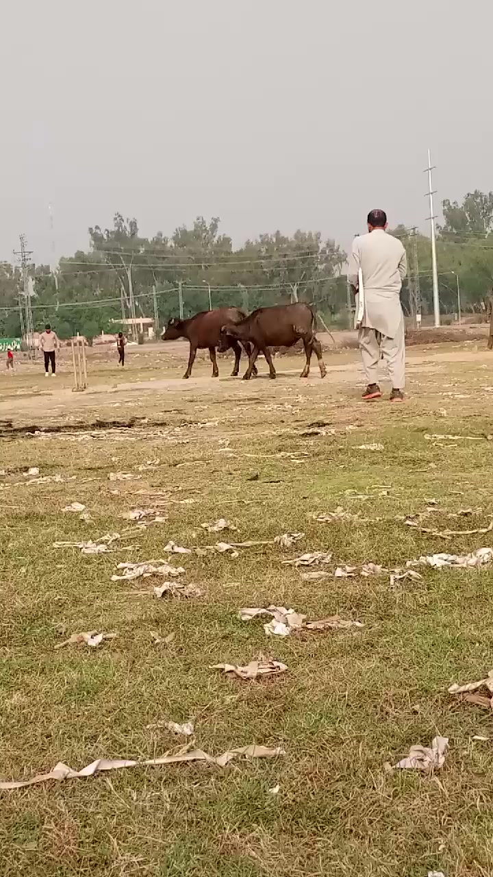 @Raja_kashi444