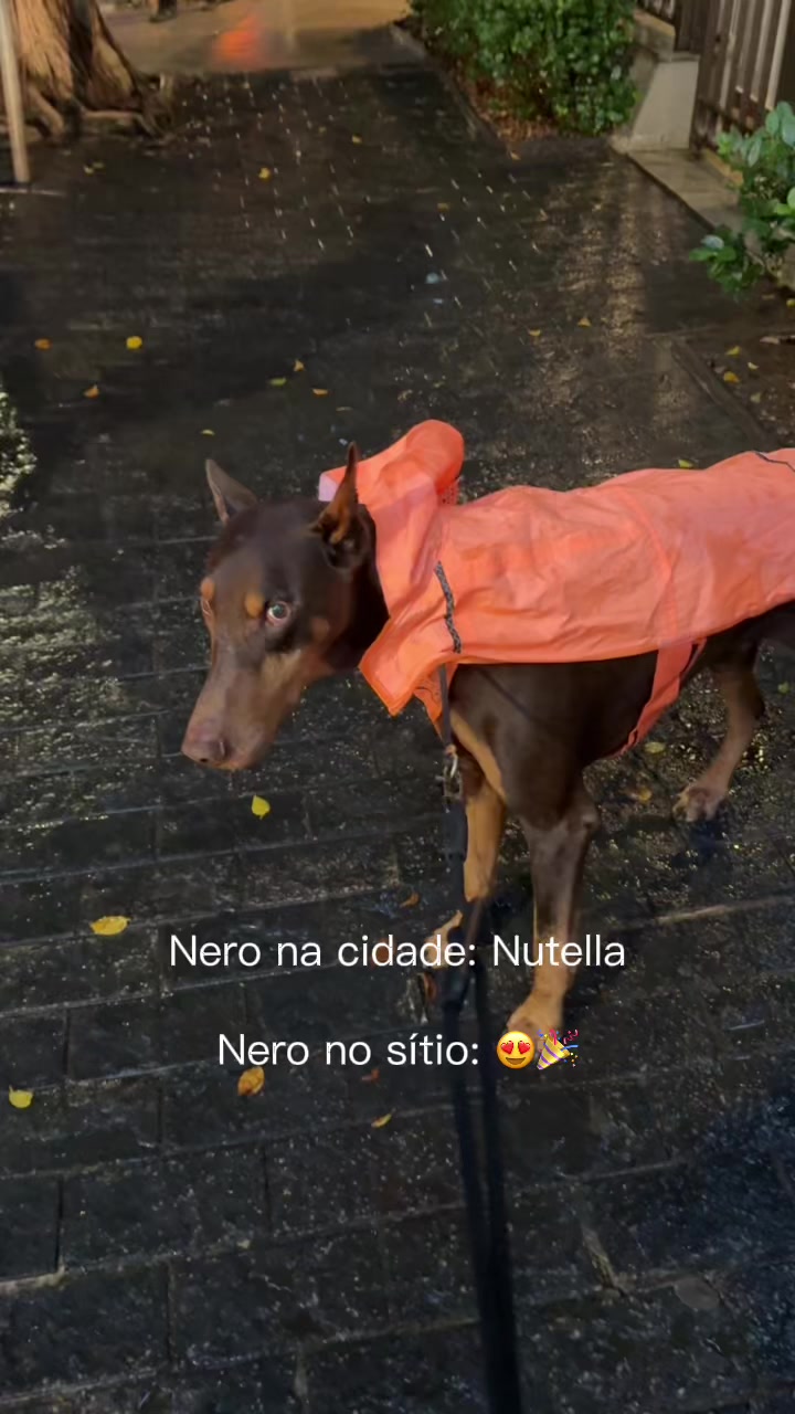 @Gabriel Di Garcia