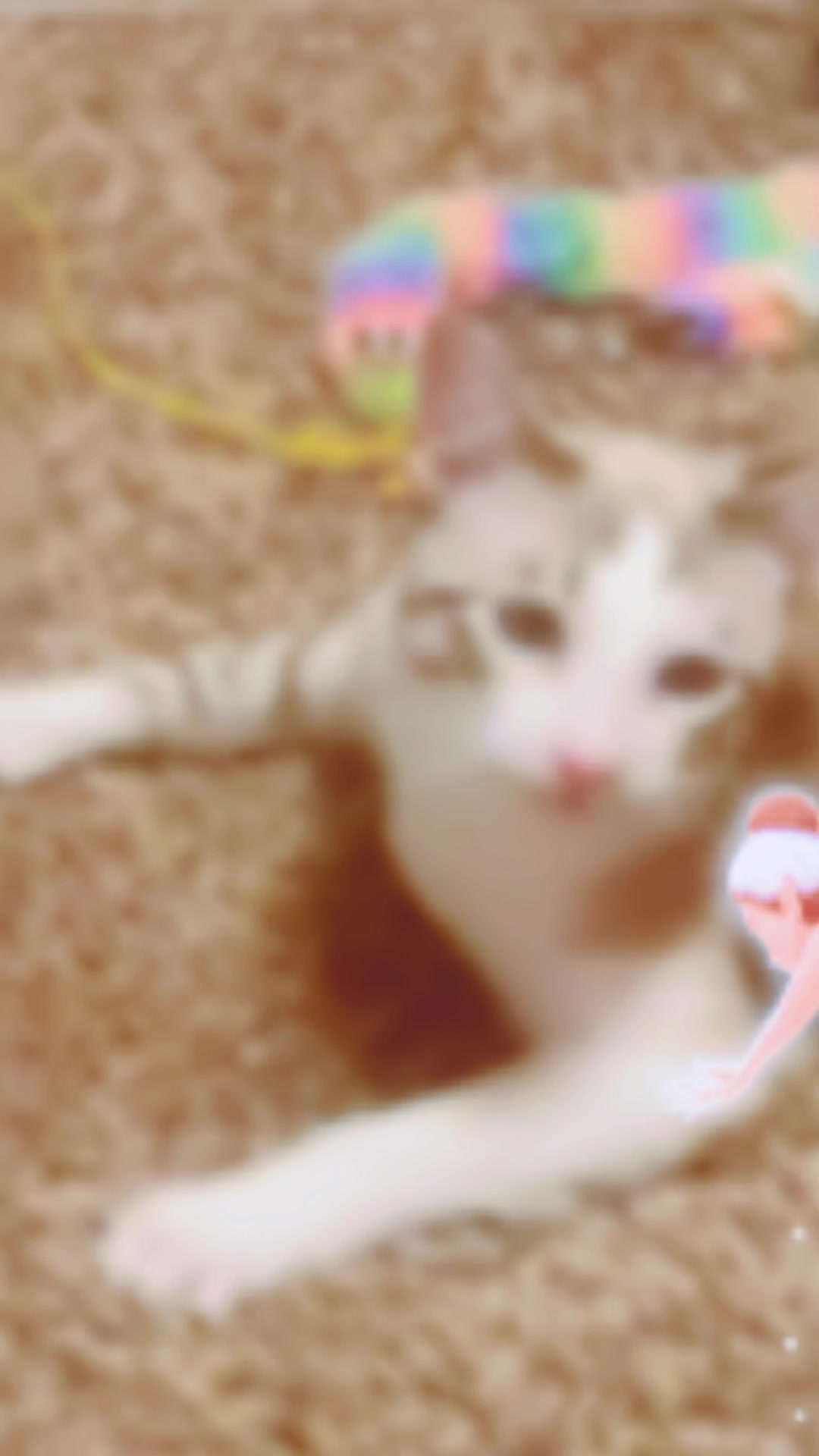 @🌷Kayla ੈ✩‧₊˚