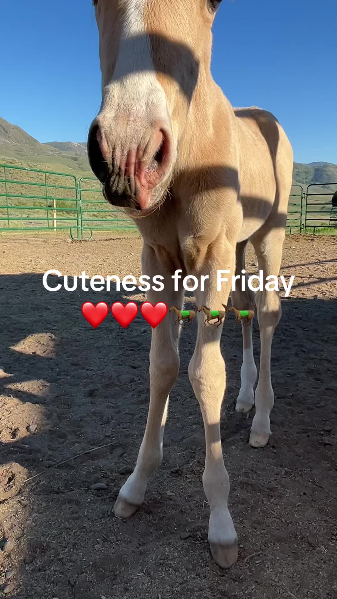 @Heidi