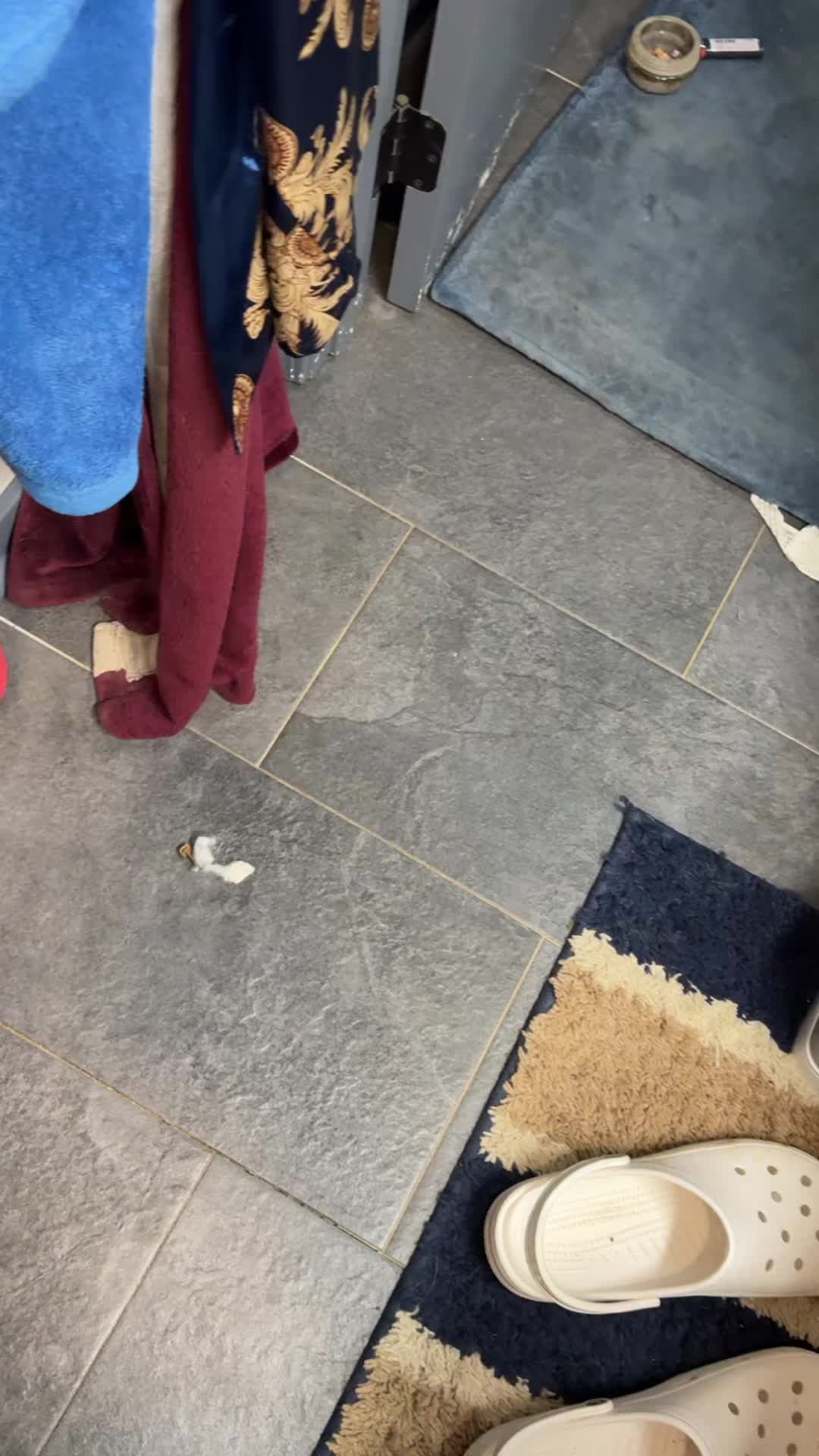 @TheHobsonSquad