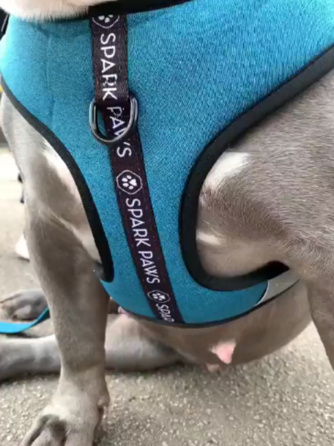 @uxifnfsiyyn