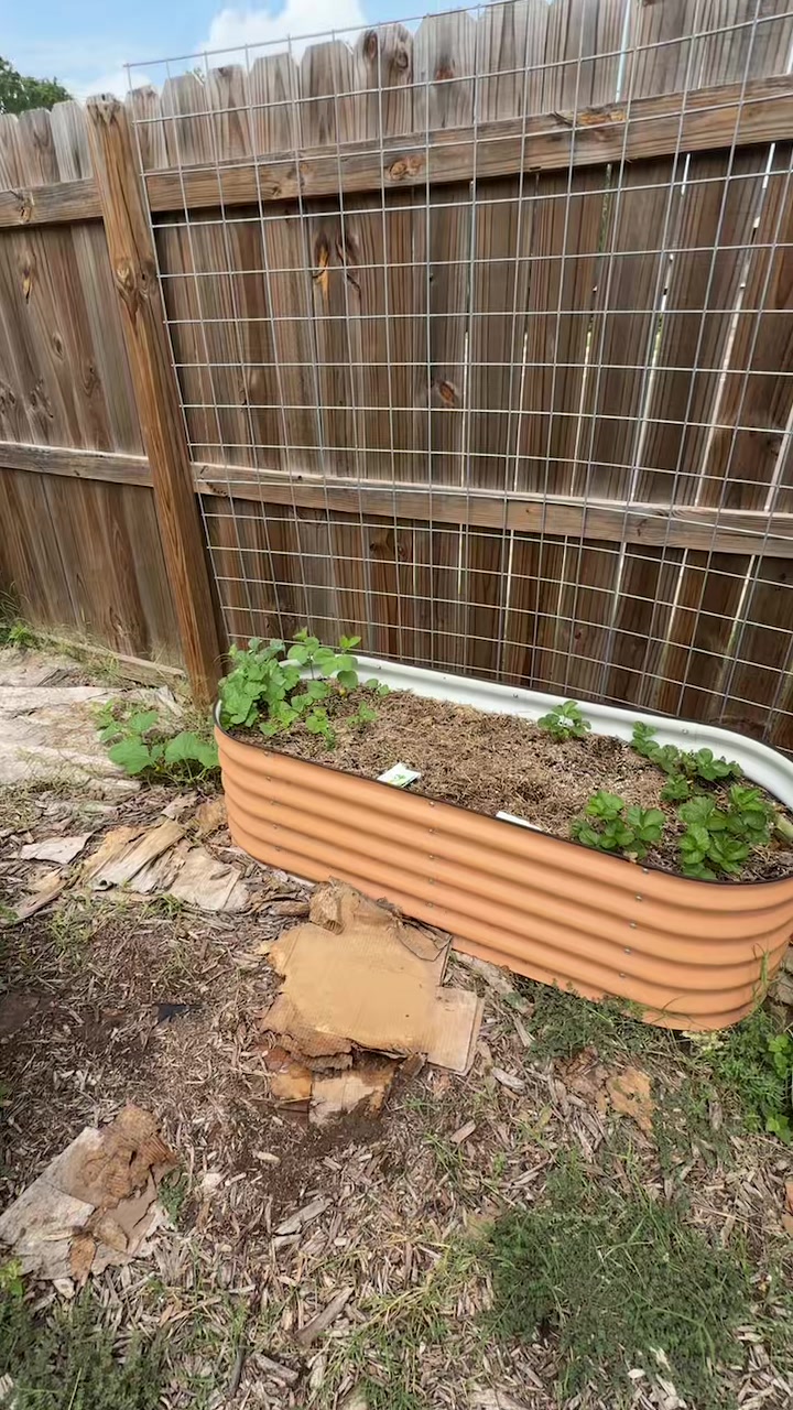@themagicvalleygardener
