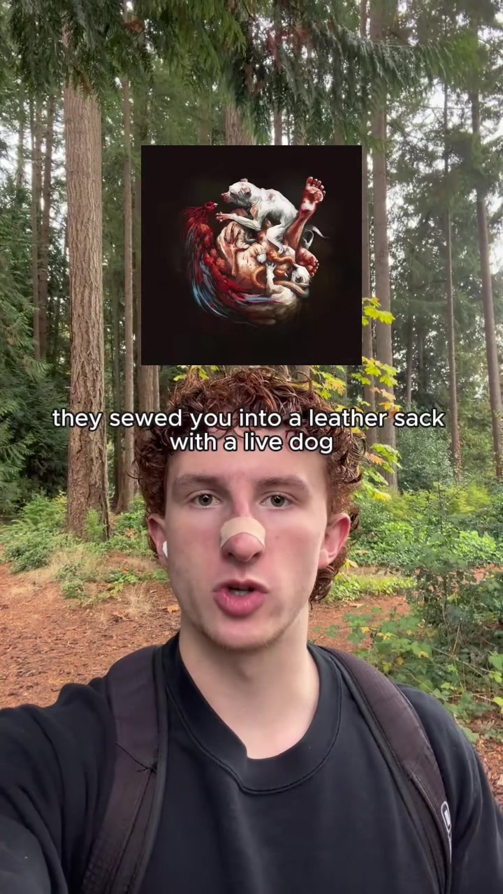 @tavelarocque