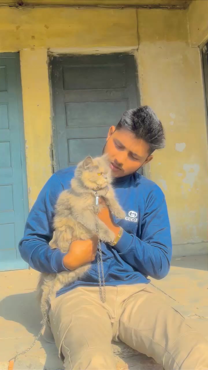 @Asif Rajpoot🐯🎌