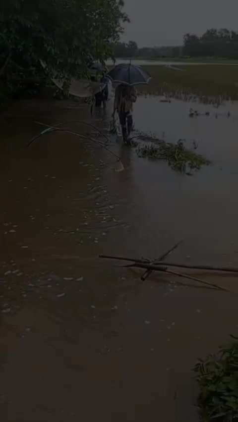 @সুখী জীবন ❤️🫶❤️