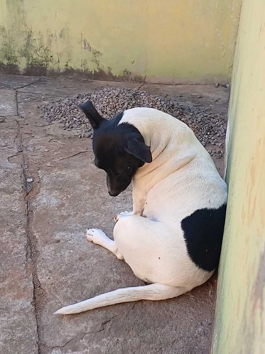 @Nubia Oficial