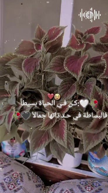 @𓆩𝑨𝑫𝑳𝑩𝑰𝑯💚Wآدلـــبية𓆪