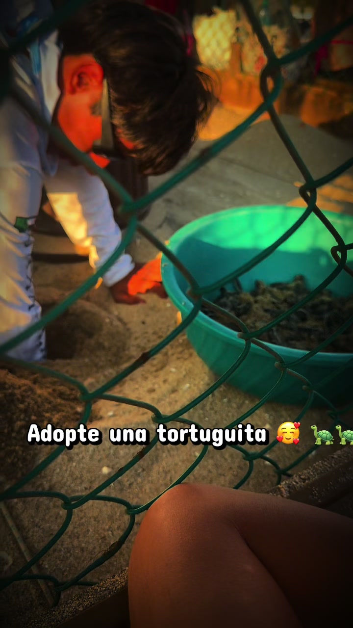 @Analy Lop