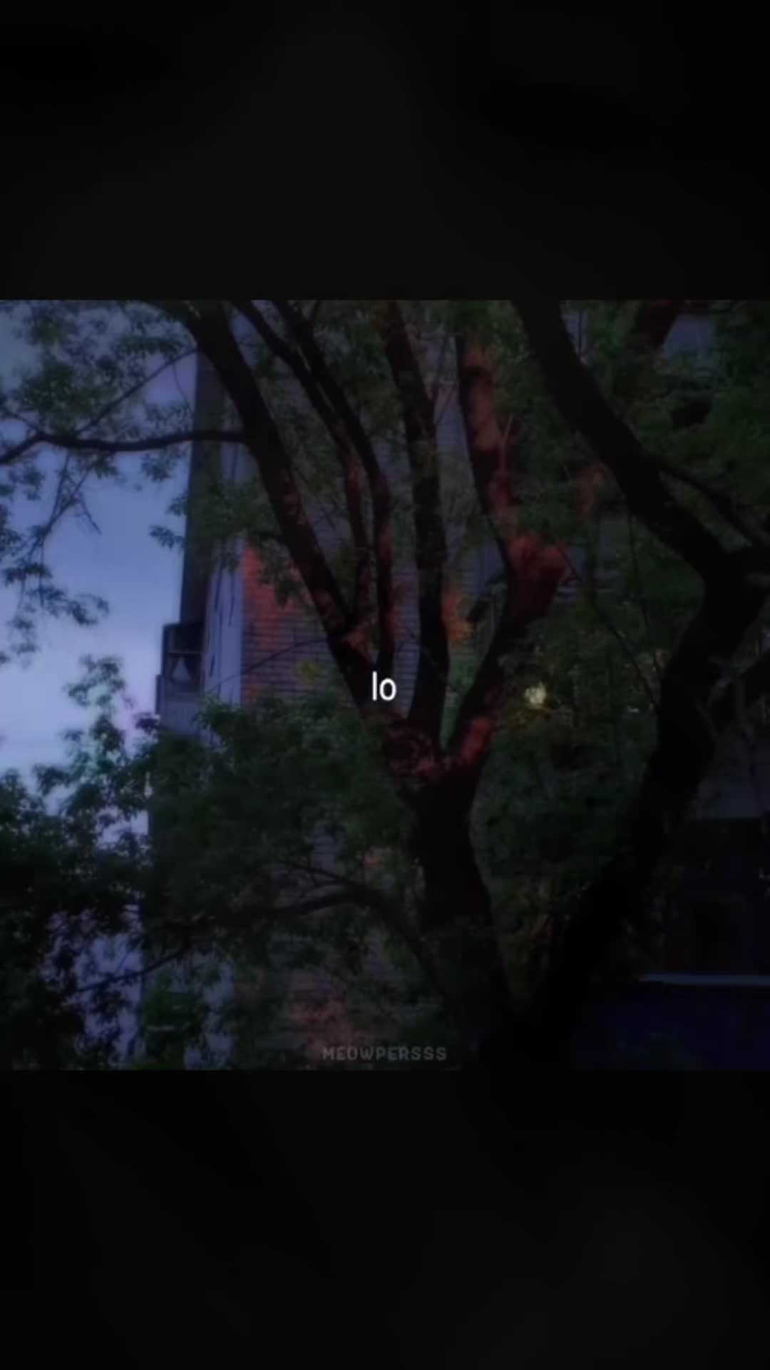 @Toka_LAIF