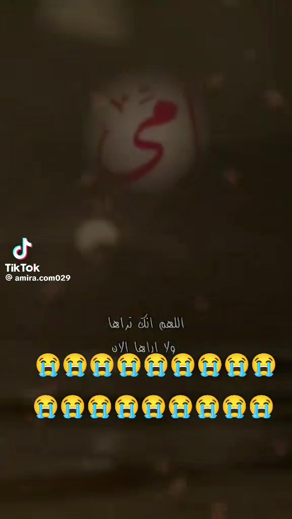 @صعيدي في الطايف