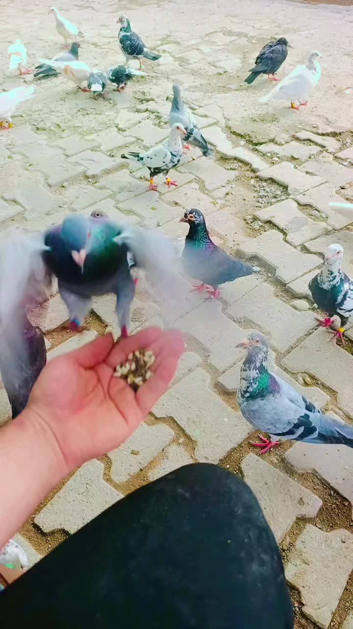 @Okan Kç