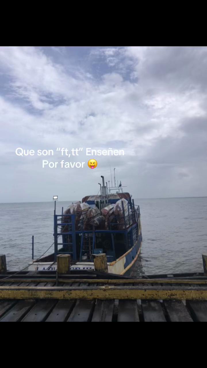 @🦥 Treminio 🦧