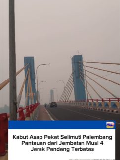 @Paltv-Memang Punyo Kito