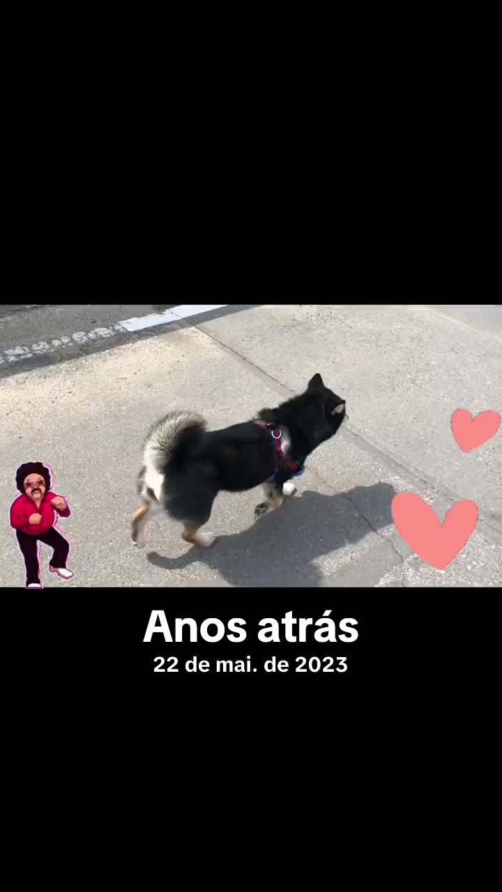 @Carlos Alberto