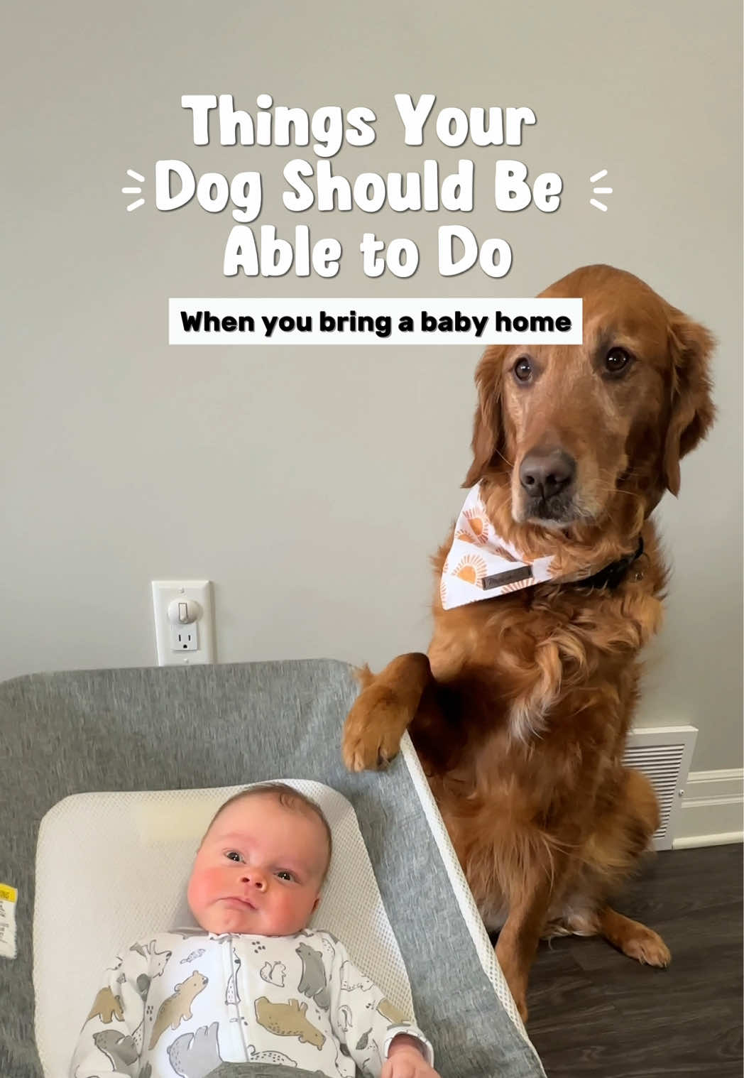 @Air Bud Kobe 🇨🇦