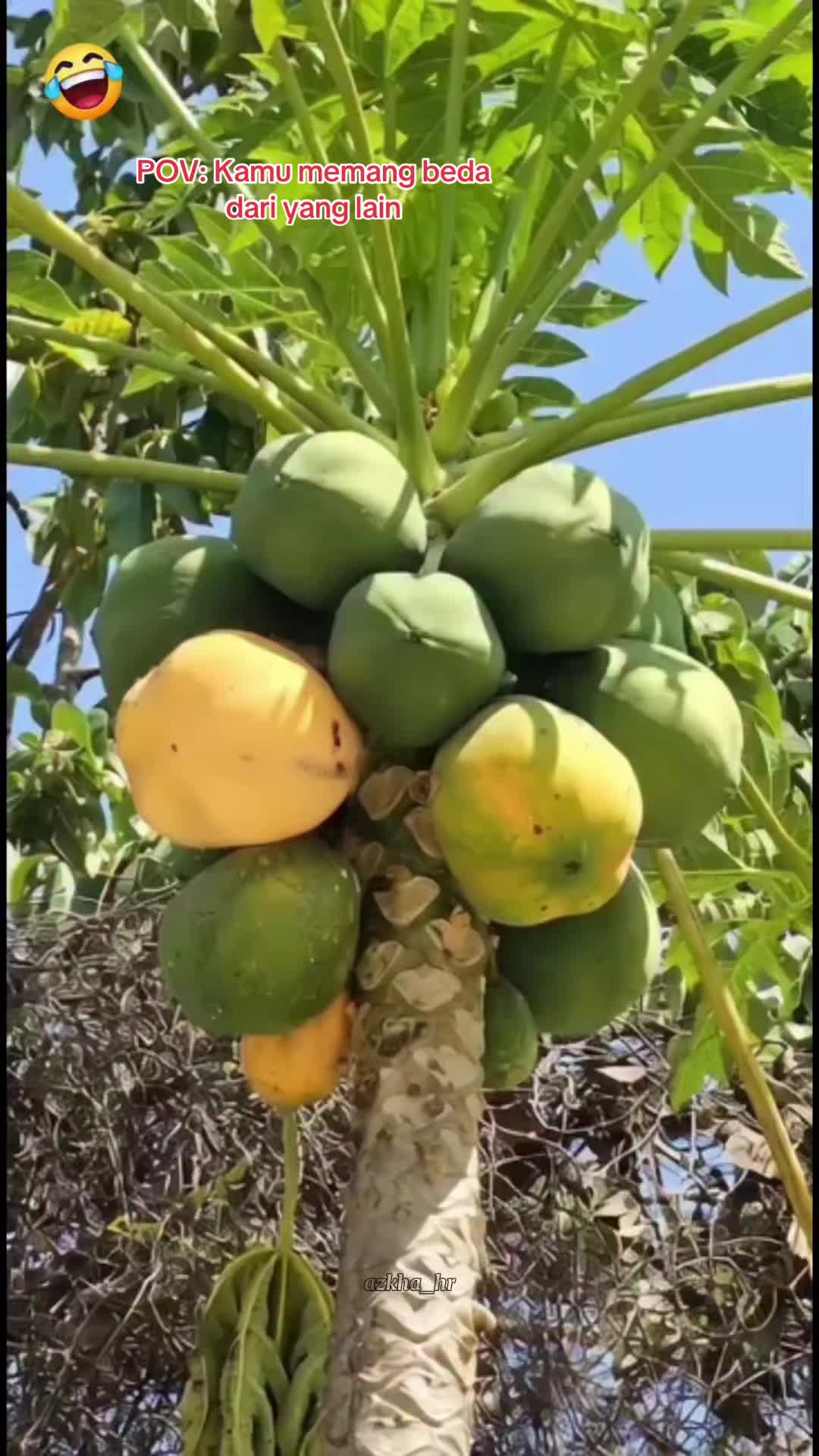 @ERICHA_hr