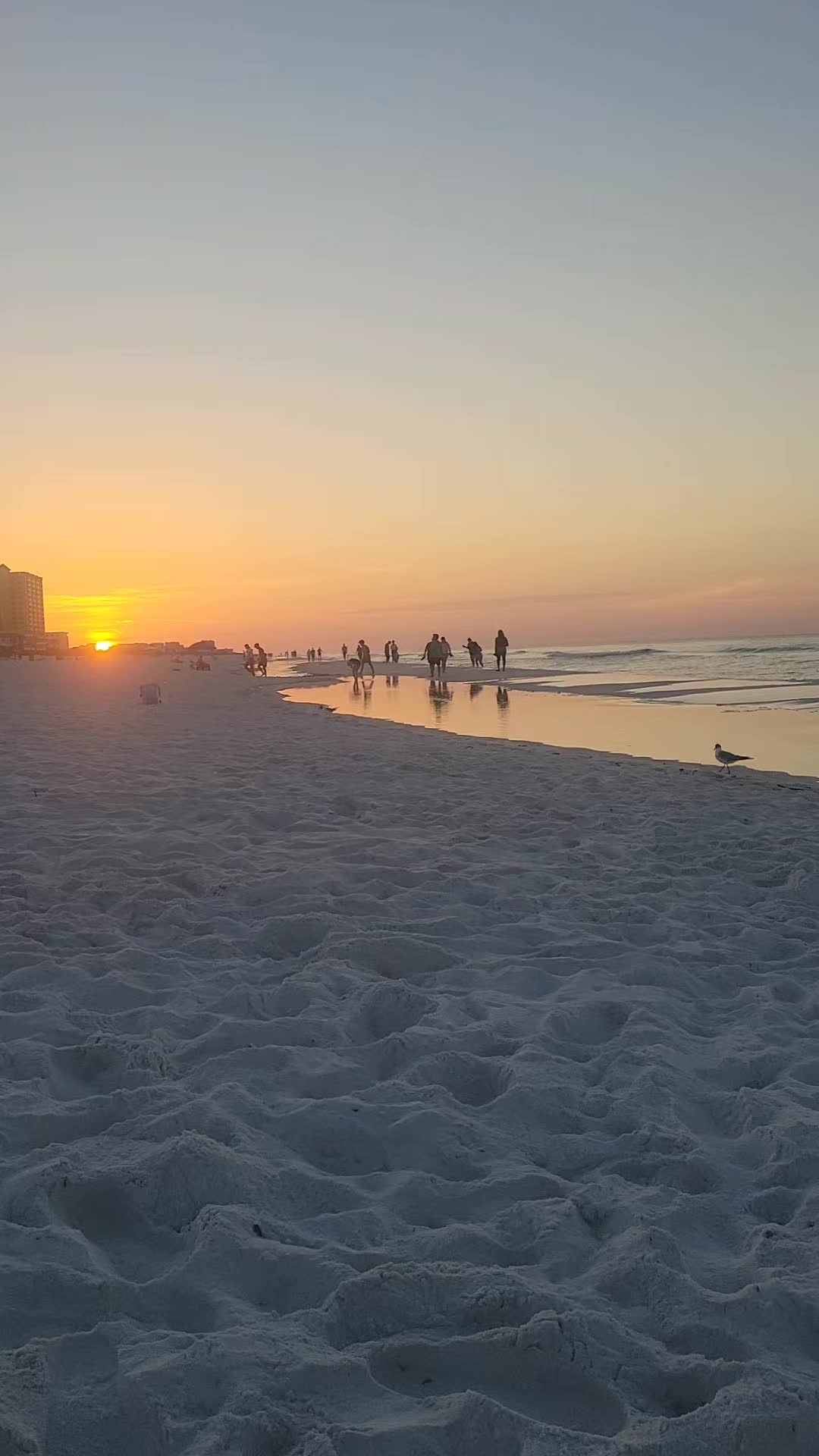 @TheBeachIsFree