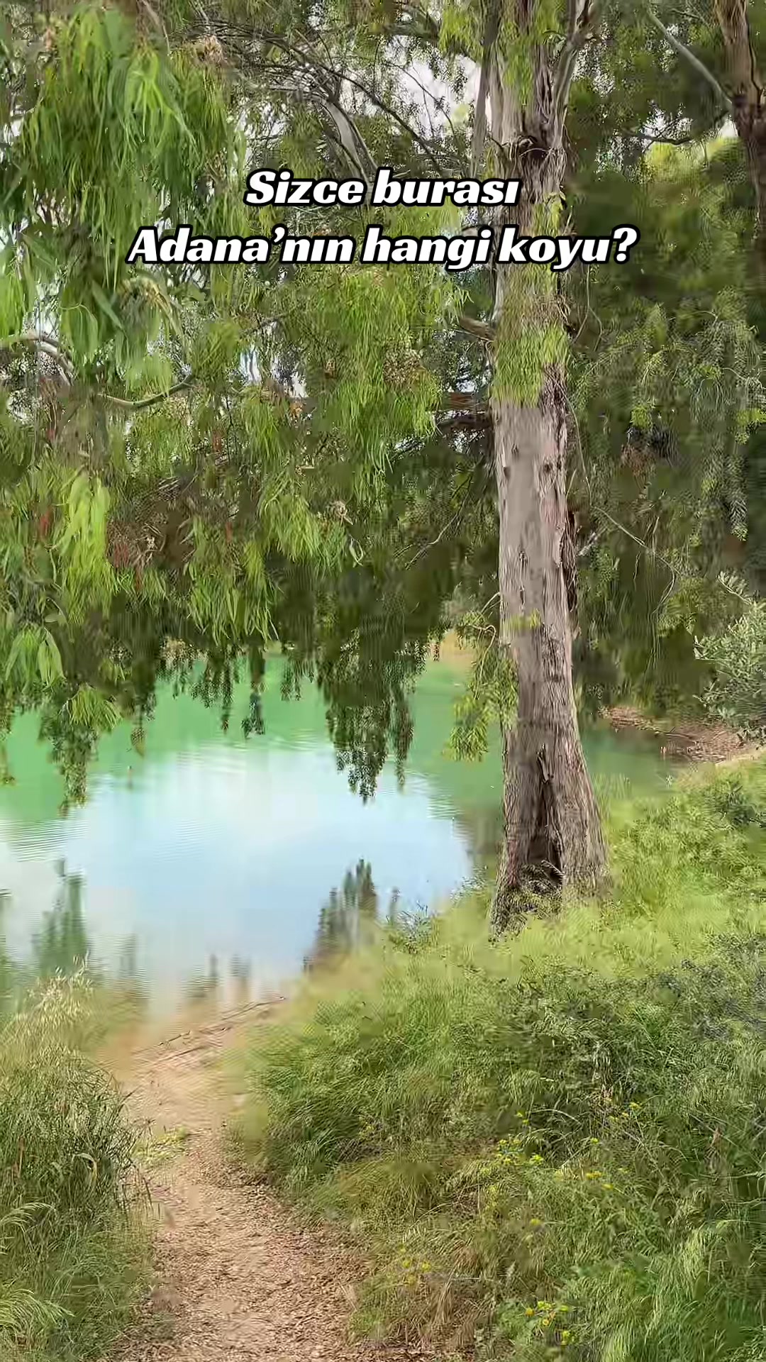 @Bizadanaliyik