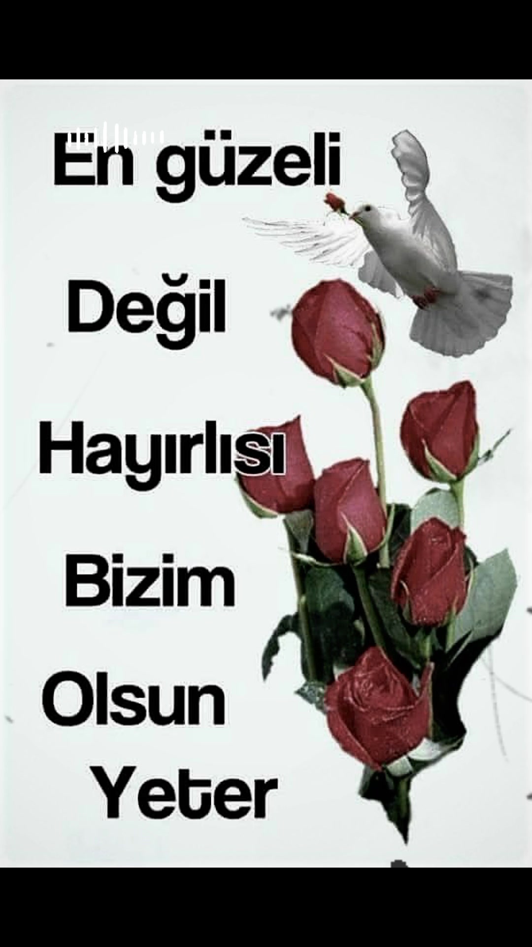 @RIDVAN ASLAN🇹🇷🇹🇷🇹🇷🌼☘️