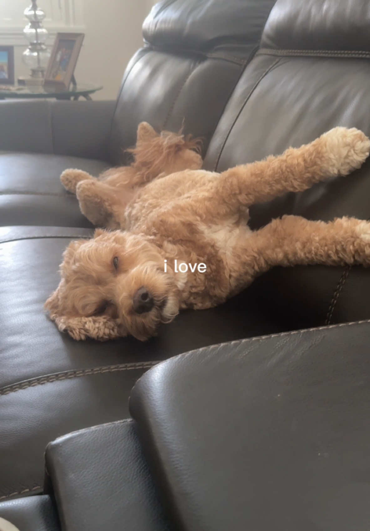 @Zack