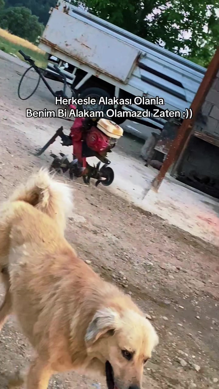 @EfecanÖzdoğan_43
