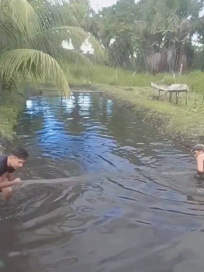@PAULO VIANA