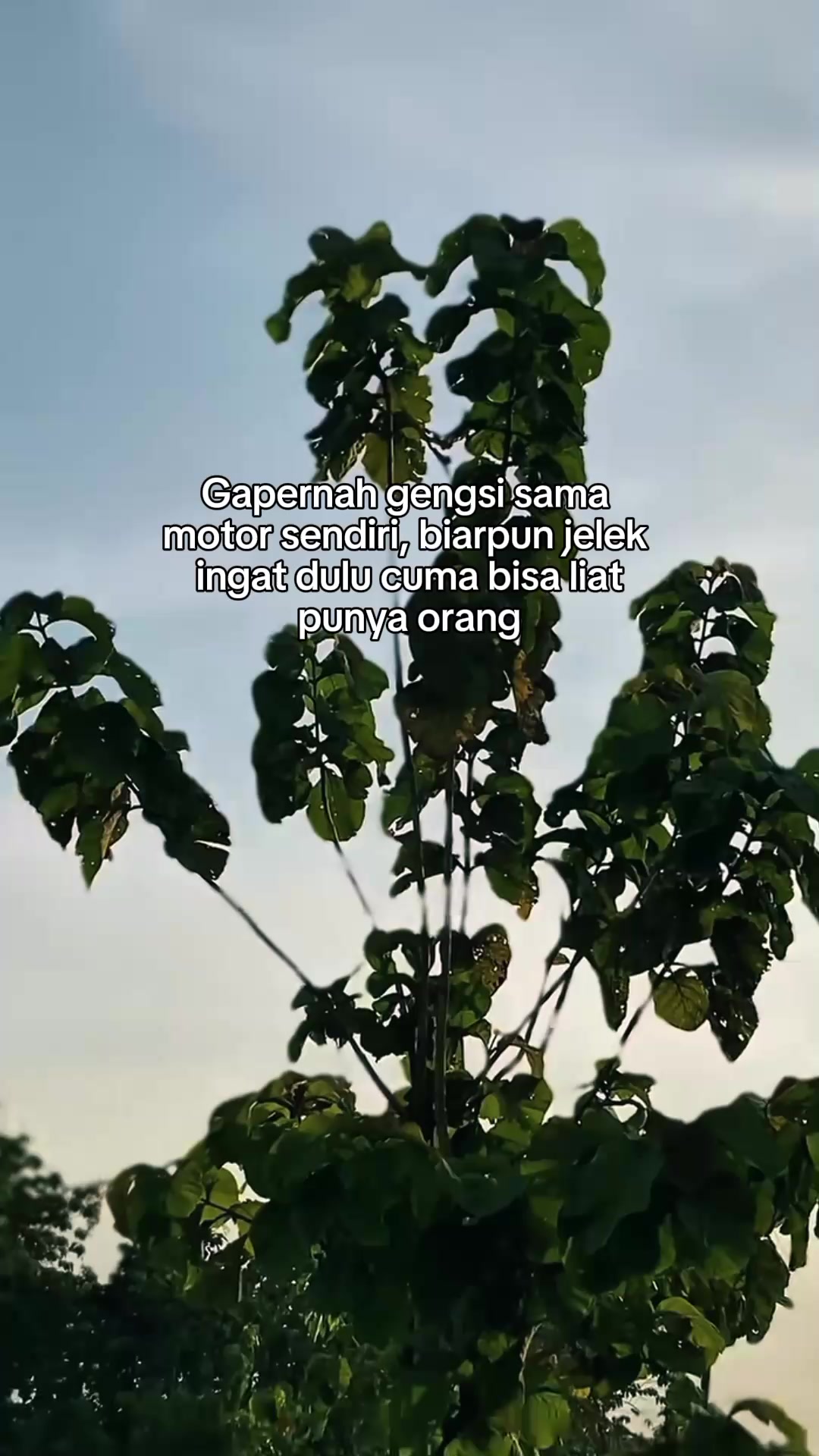 @NOGOSARI 🦆