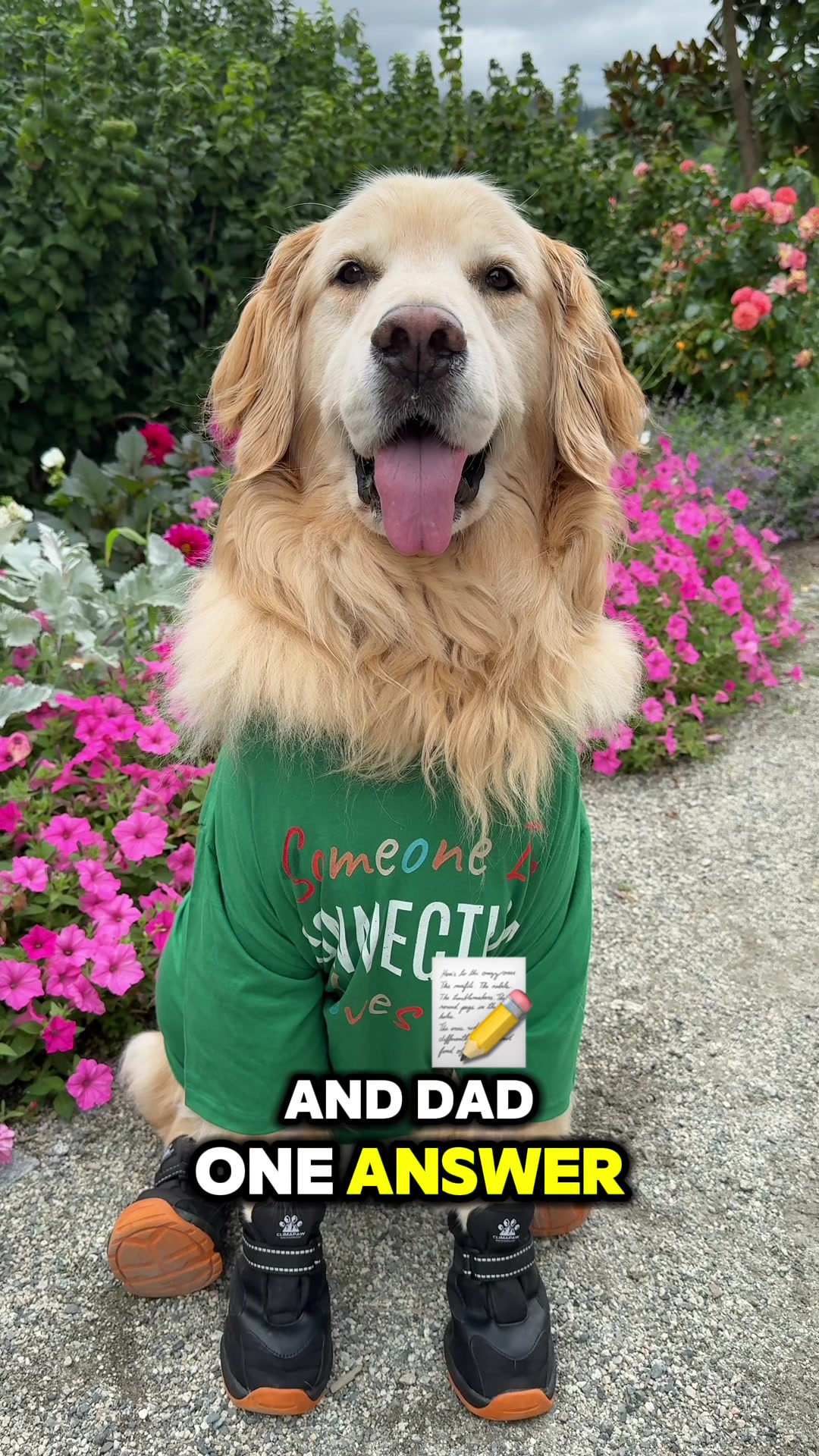 @A Golden and Fam