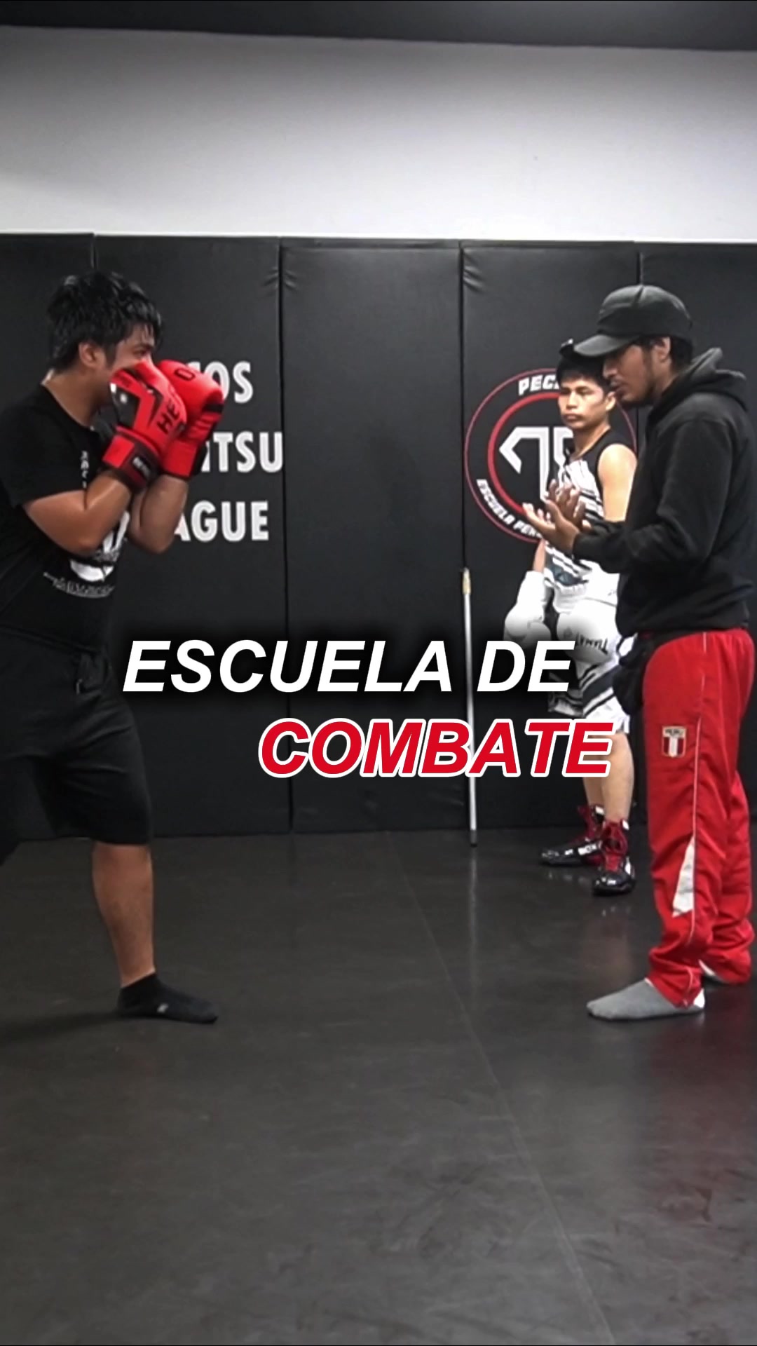 @Razza valiente