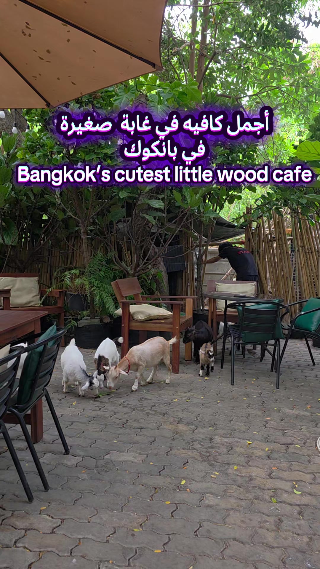 @mana مانع