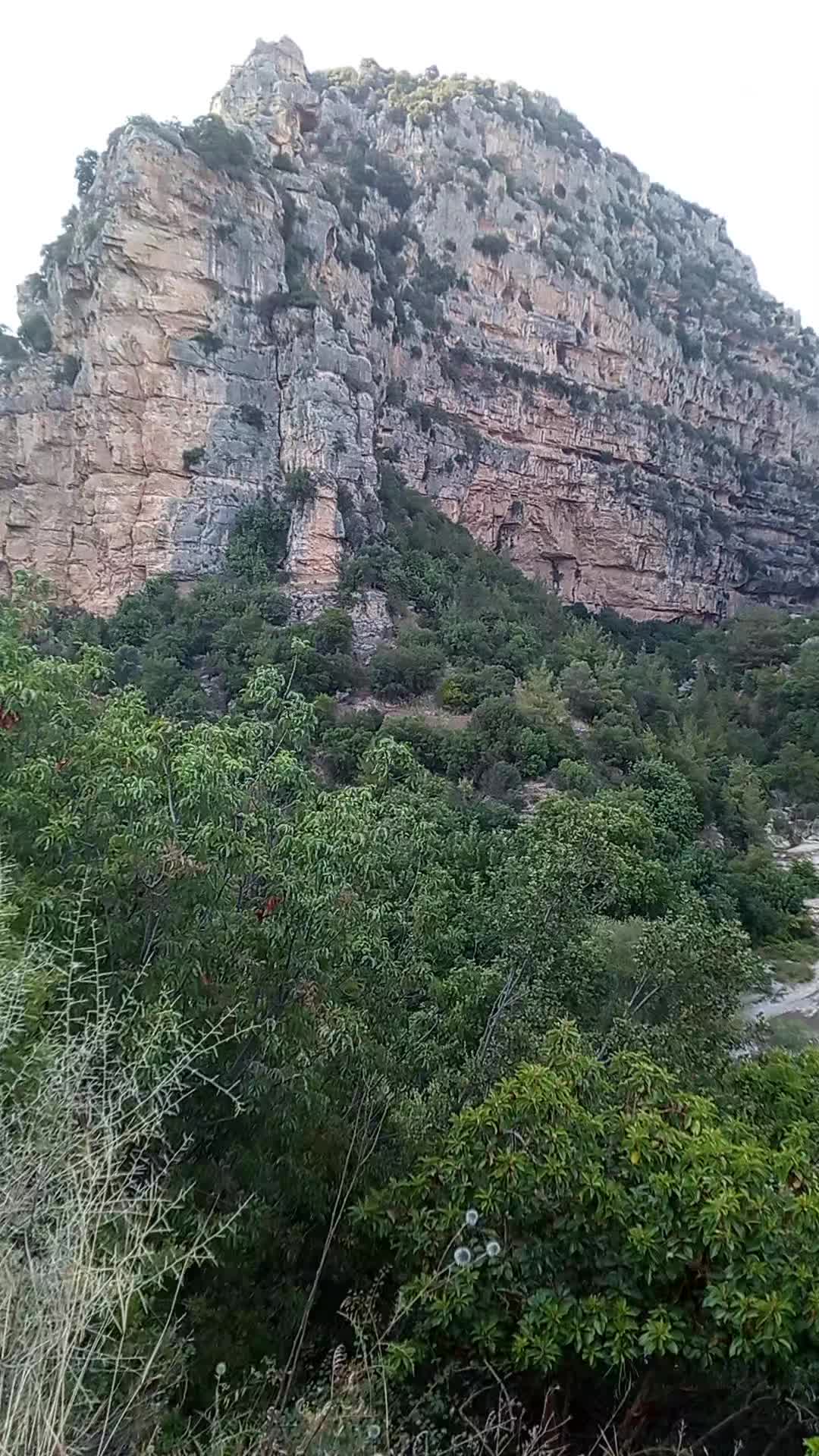 @Hayri Şahin