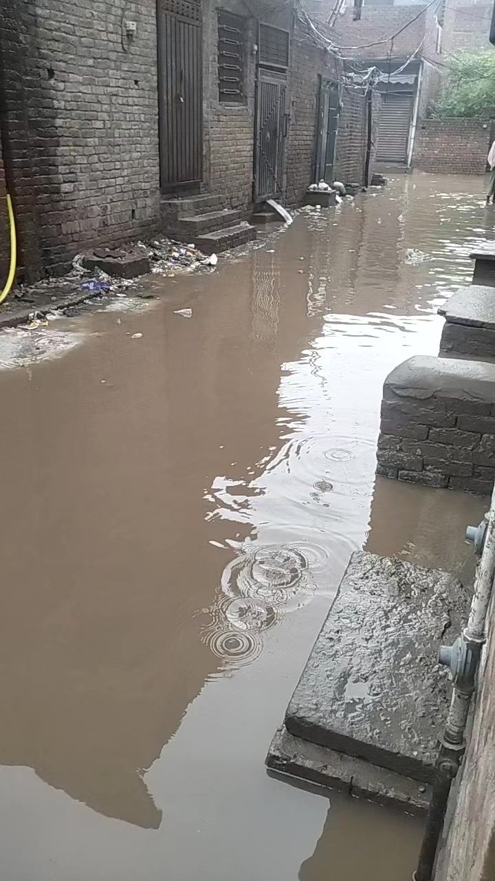 @saifkamboh120