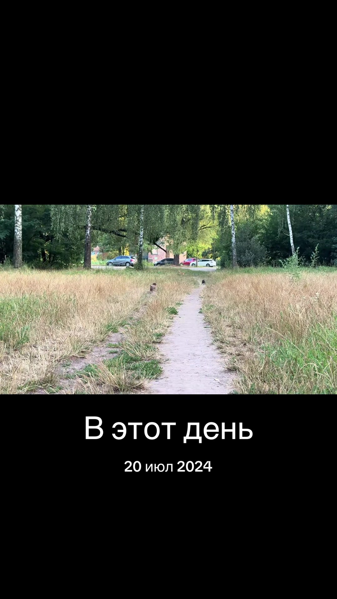 @Курт