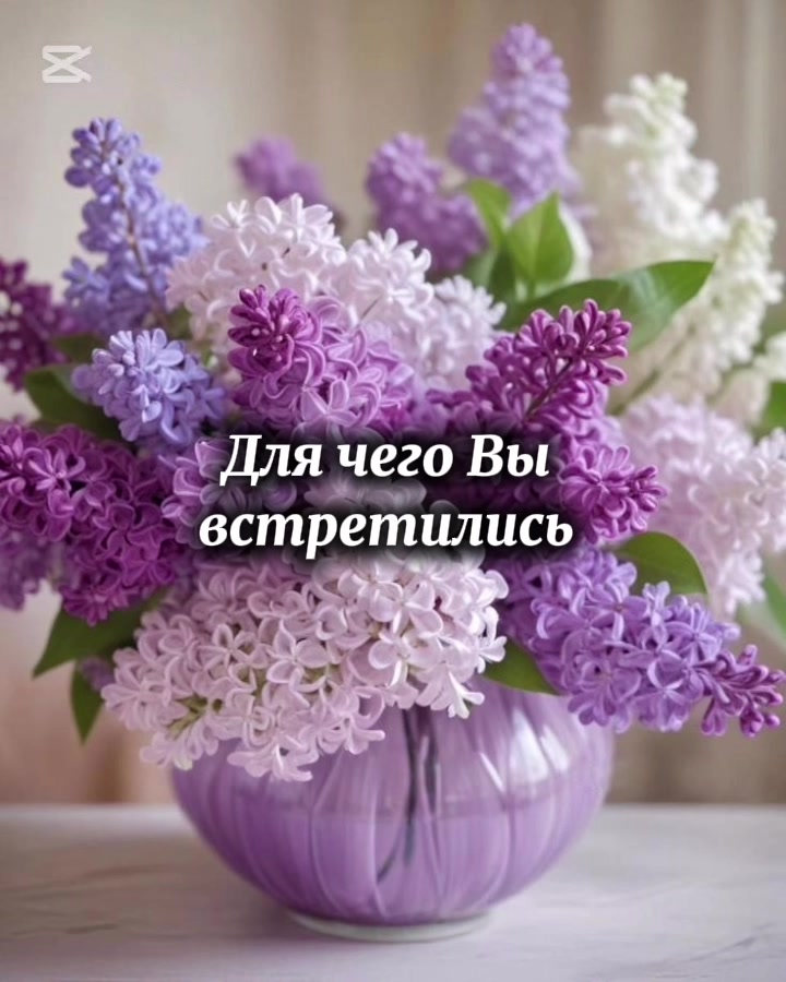 @Polli