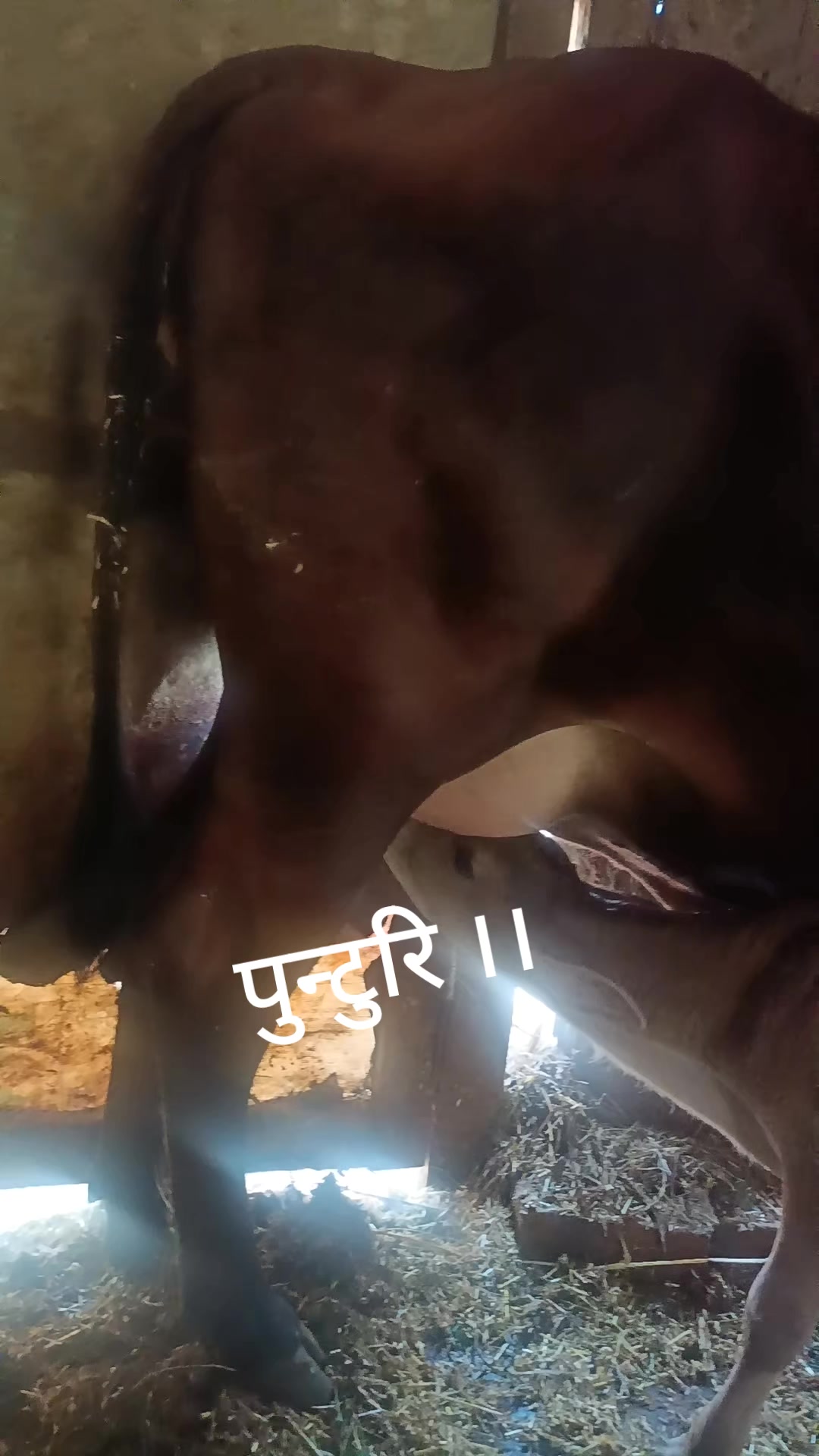 @Madhavi Bhatta