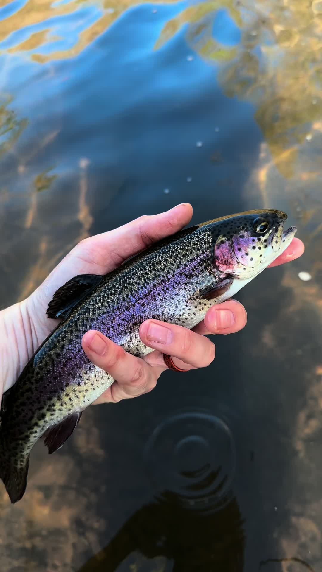 @Rod N Hand Fishing