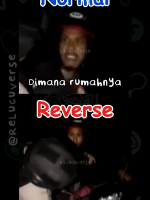 @ReLucuVerse