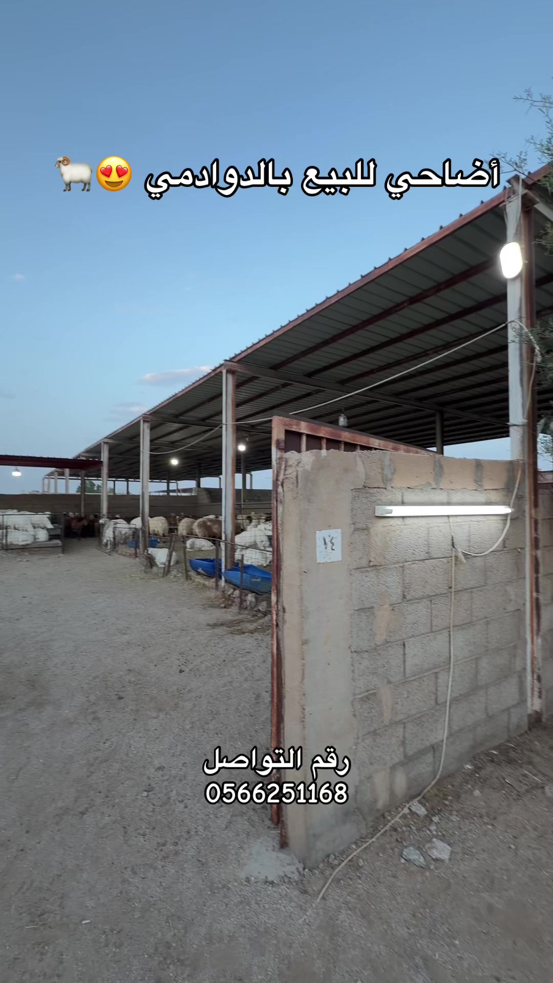 @أخبـار الدوادمـي