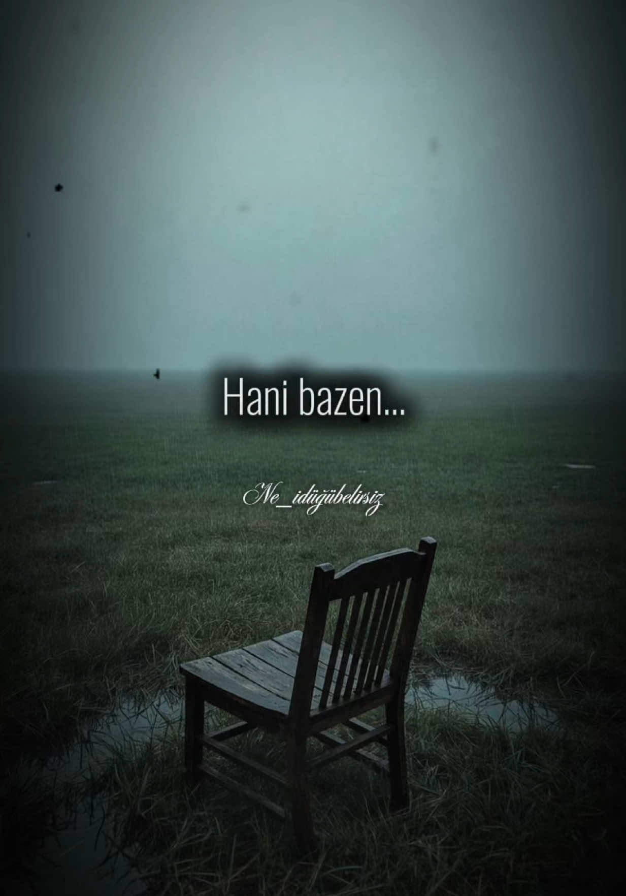 @ne_idugubelirsiz