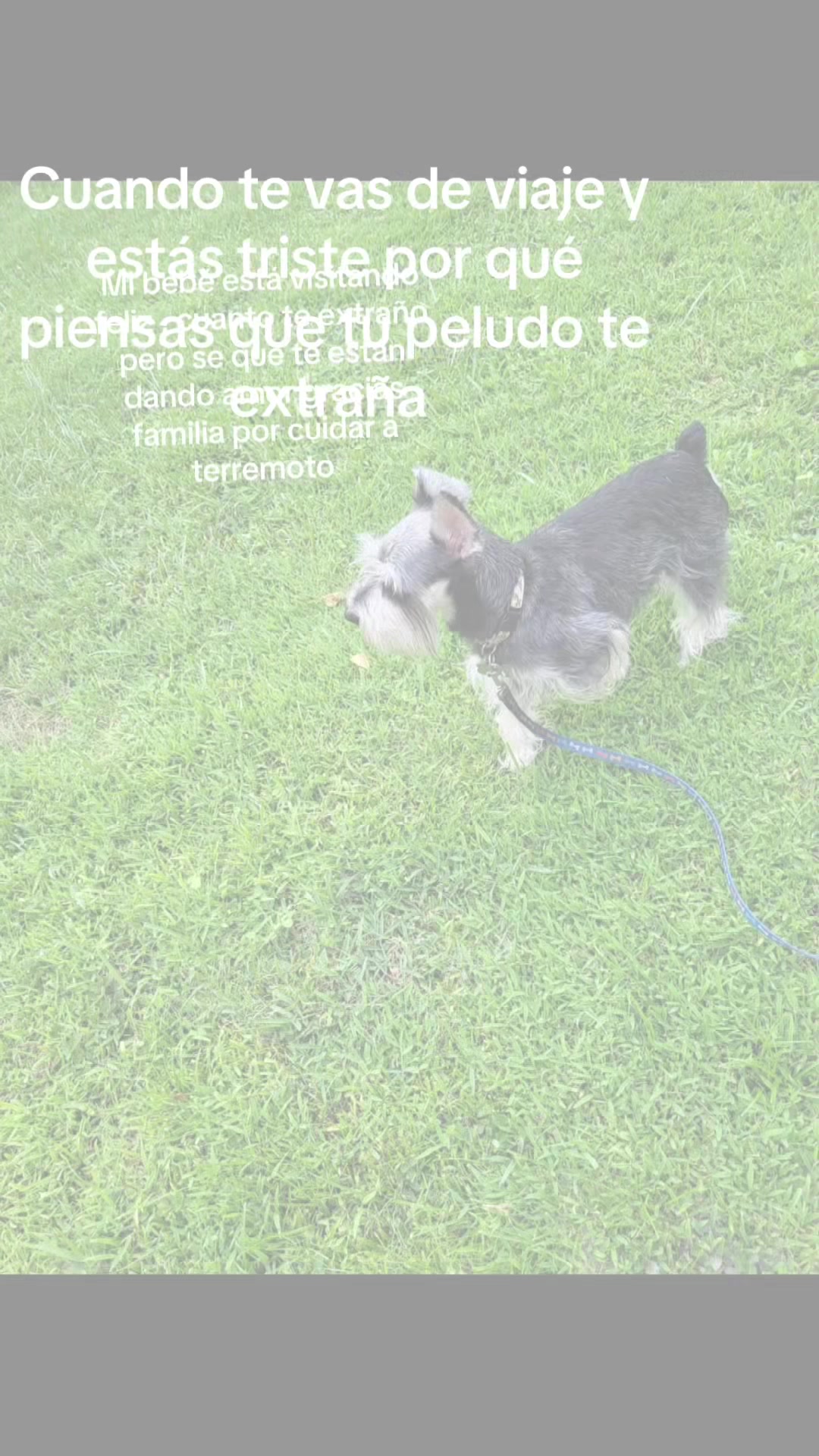 @Allison 🦋💕