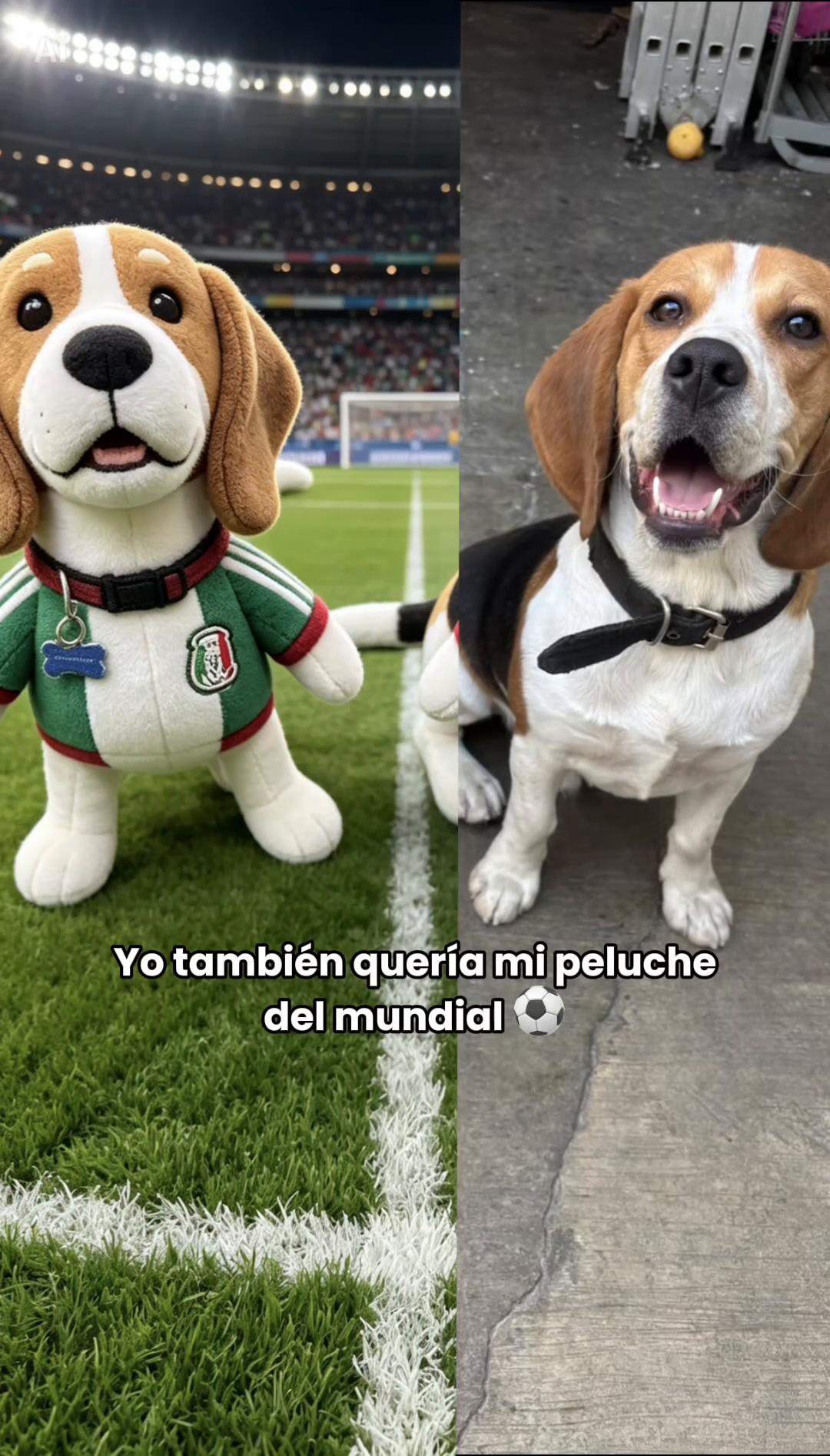 @Francisco Corona