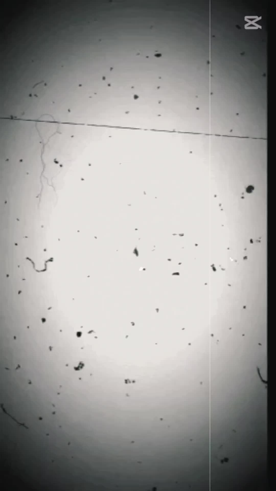 @🇦 🇦 🇳 🇨 🇭 🇦 🇱