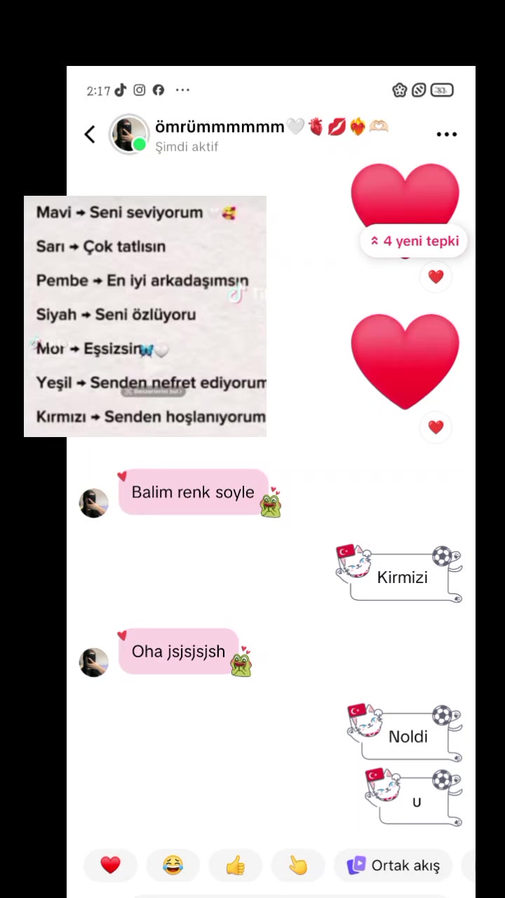 @🌸~Ceylin~🌸