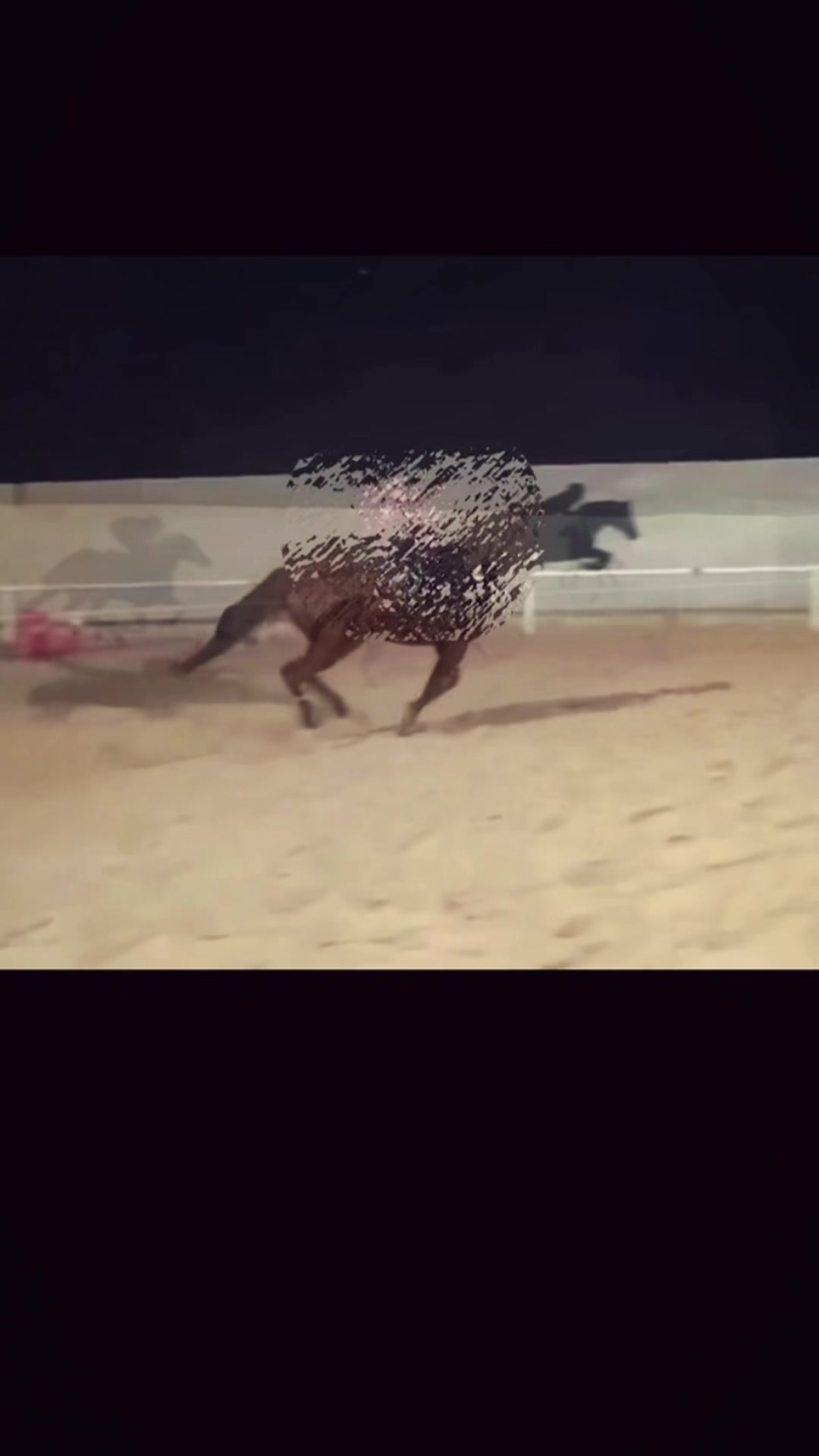 @فارسات وفرسان سدير