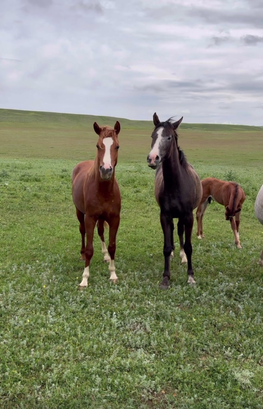 @MakvinStud