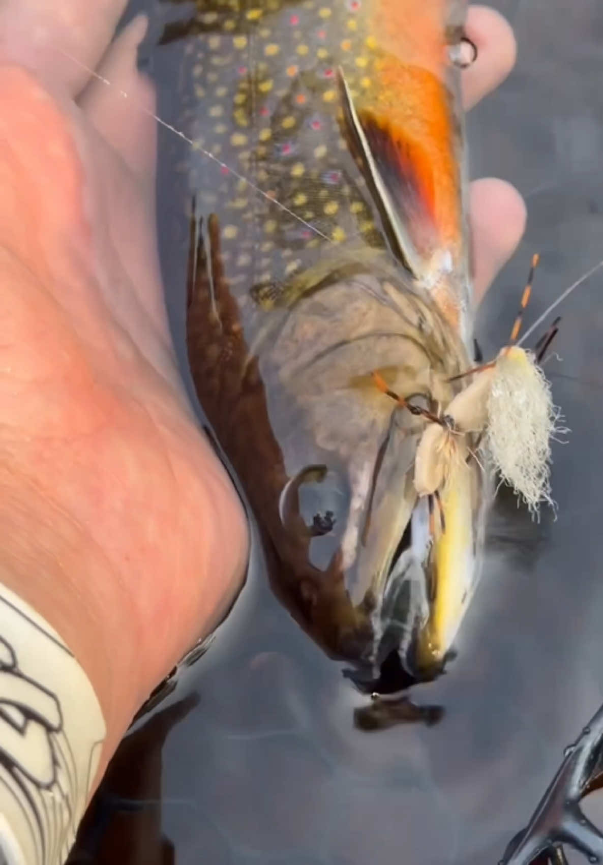 @FlyFishDelawhere