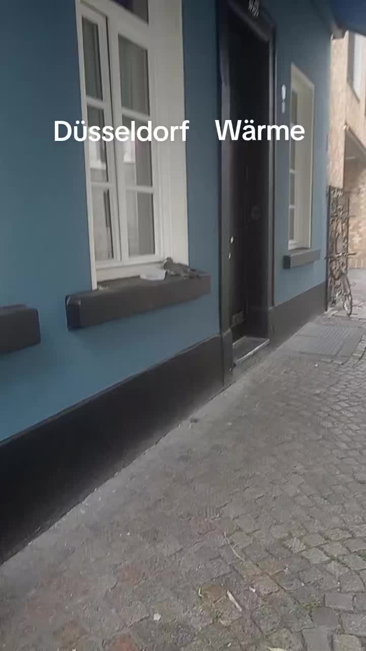 @papu papu